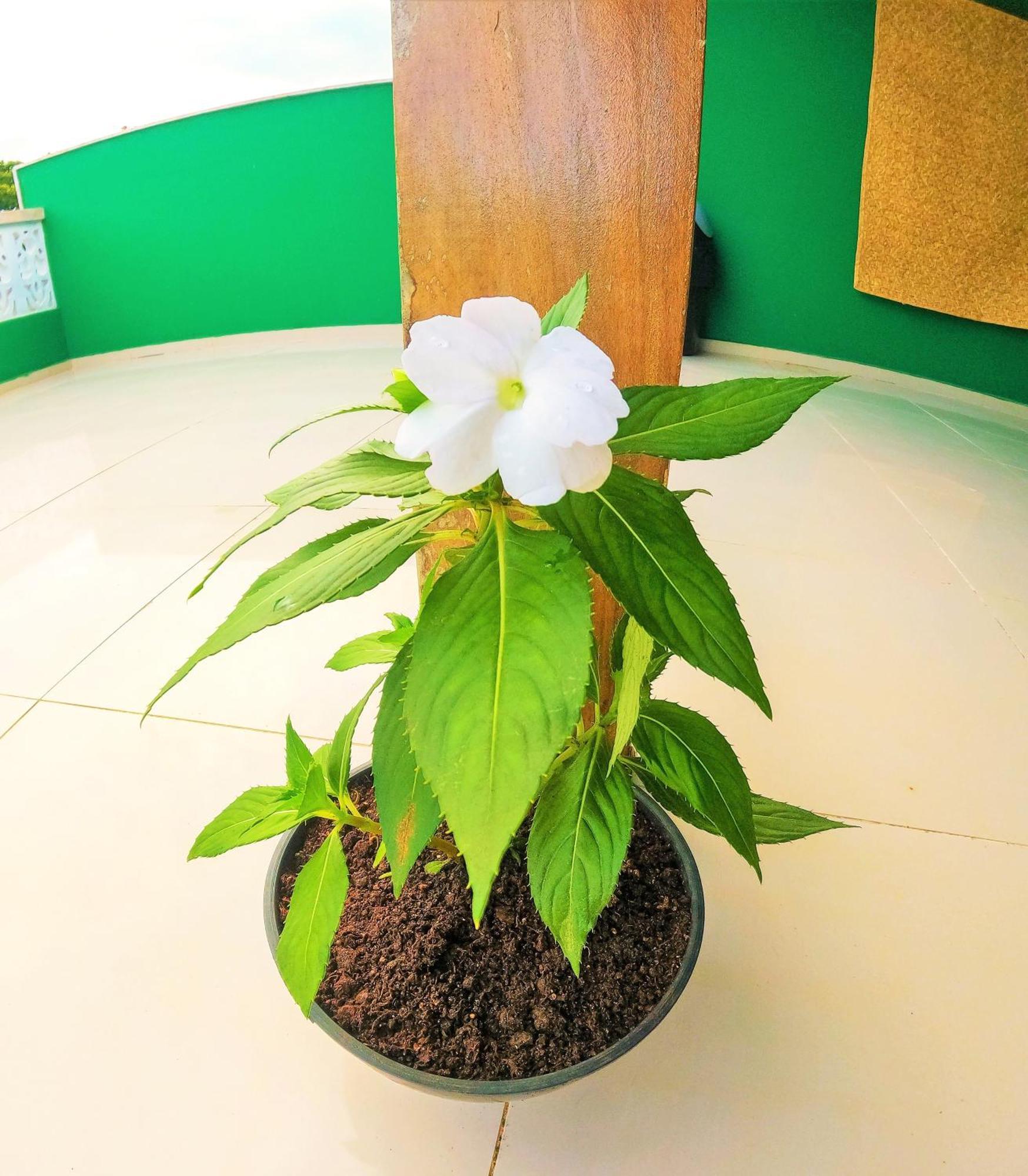 Praieira Hostel&Pousada Итакаре Экстерьер фото